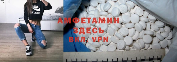 ГАЛЛЮЦИНОГЕННЫЕ ГРИБЫ Аркадак
