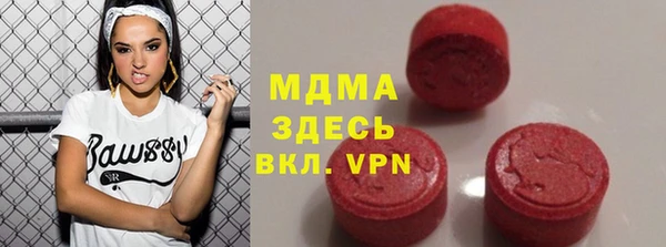 ГАЛЛЮЦИНОГЕННЫЕ ГРИБЫ Аркадак