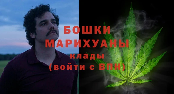 ГАЛЛЮЦИНОГЕННЫЕ ГРИБЫ Аркадак
