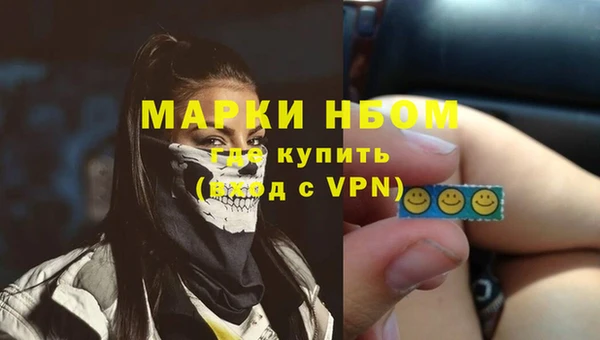 ГАЛЛЮЦИНОГЕННЫЕ ГРИБЫ Аркадак