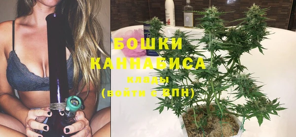 ГАЛЛЮЦИНОГЕННЫЕ ГРИБЫ Аркадак