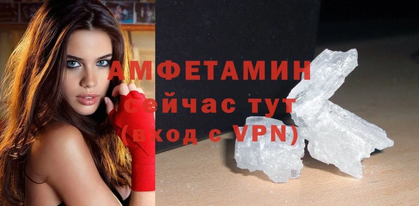 ГАЛЛЮЦИНОГЕННЫЕ ГРИБЫ Аркадак
