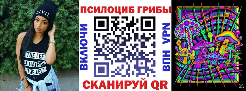 Псилоцибиновые грибы мицелий  MEGA ТОР  Новоалександровск 